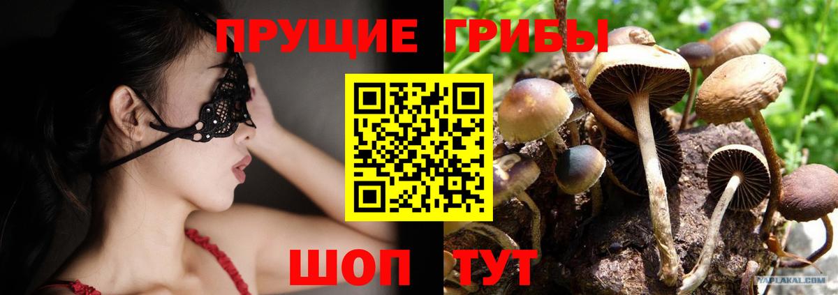 Псилоцибиновые грибы GOLDEN TEACHER Нефтекумск